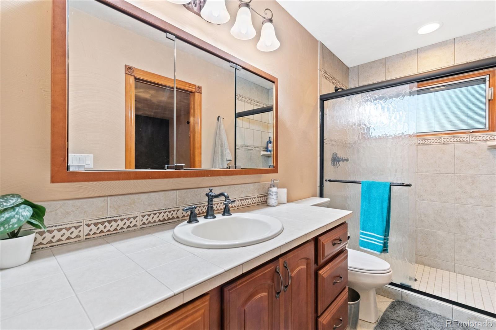 MLS Image #44 for 19530  cheryl grove,peyton, Colorado