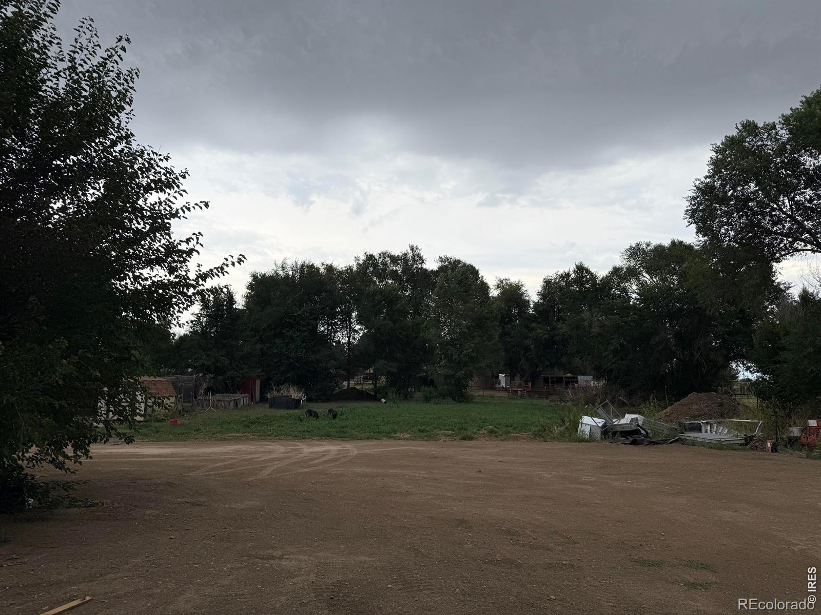 MLS Image #4 for 302  ash court,evans, Colorado