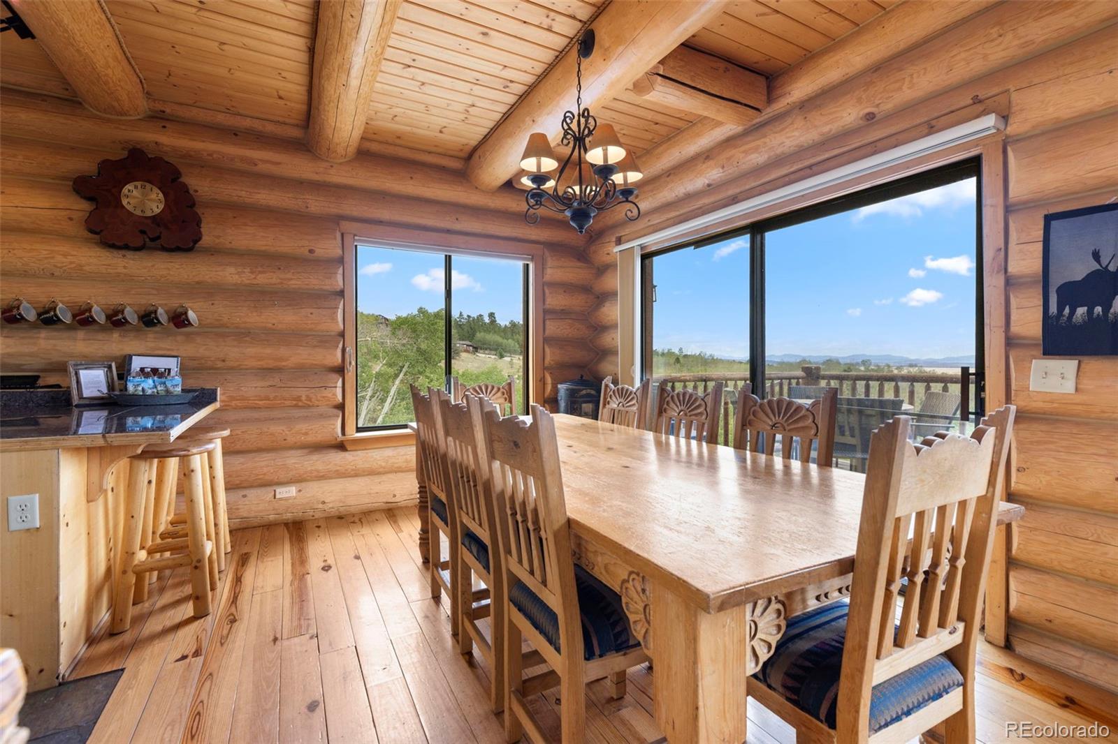 MLS Image #11 for 1586  sheep ridge ,fairplay, Colorado