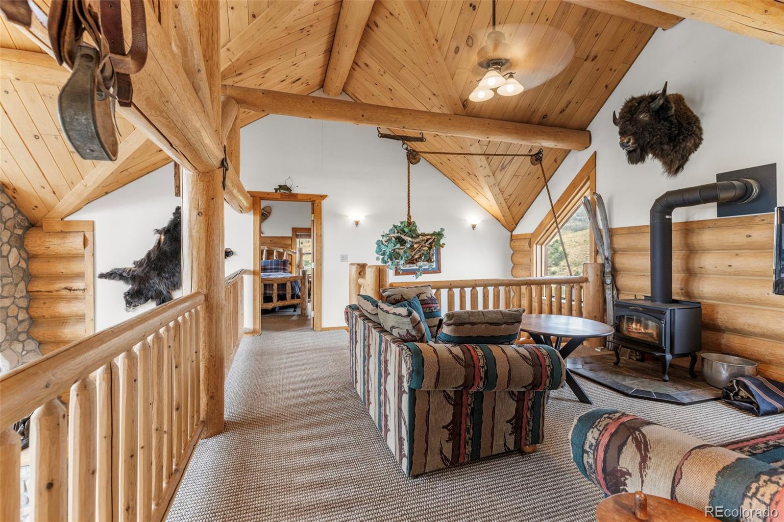MLS Image #19 for 1586  sheep ridge ,fairplay, Colorado
