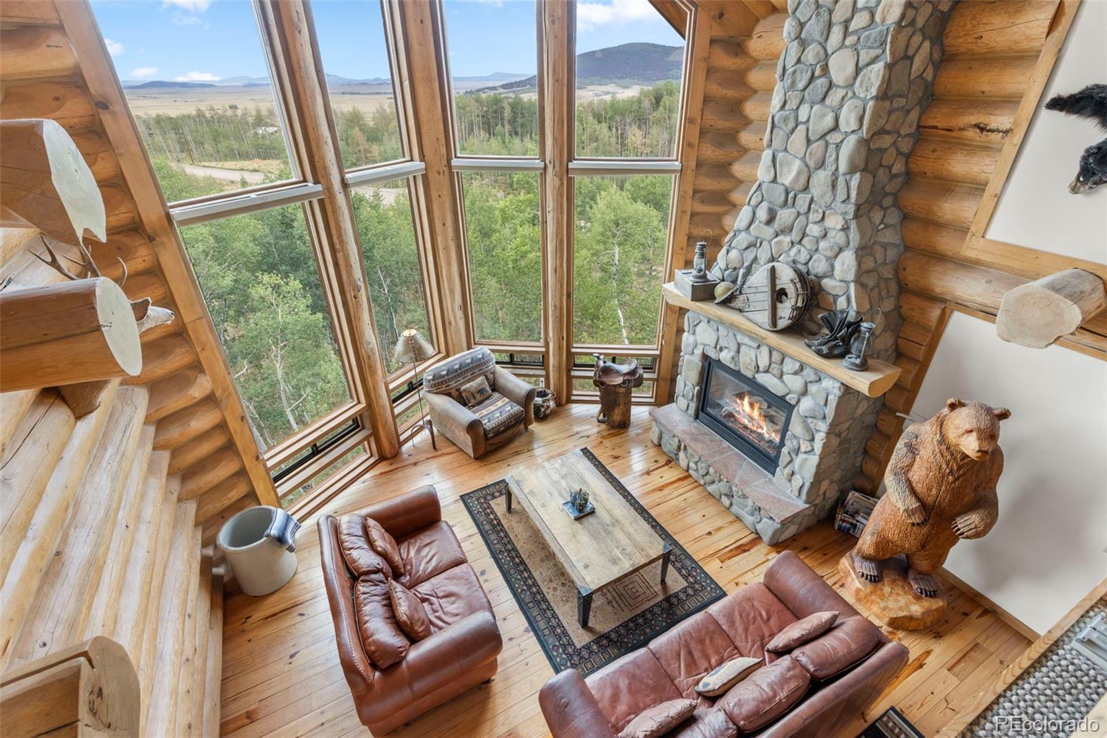 MLS Image #2 for 1586  sheep ridge ,fairplay, Colorado