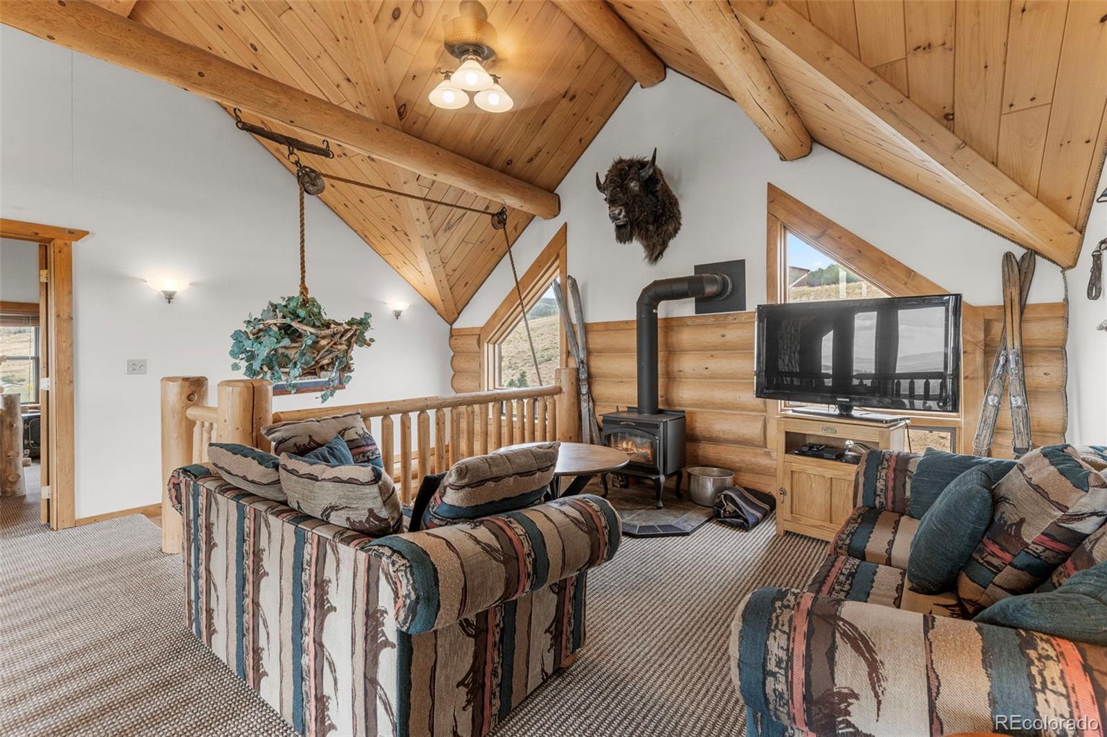 MLS Image #20 for 1586  sheep ridge ,fairplay, Colorado