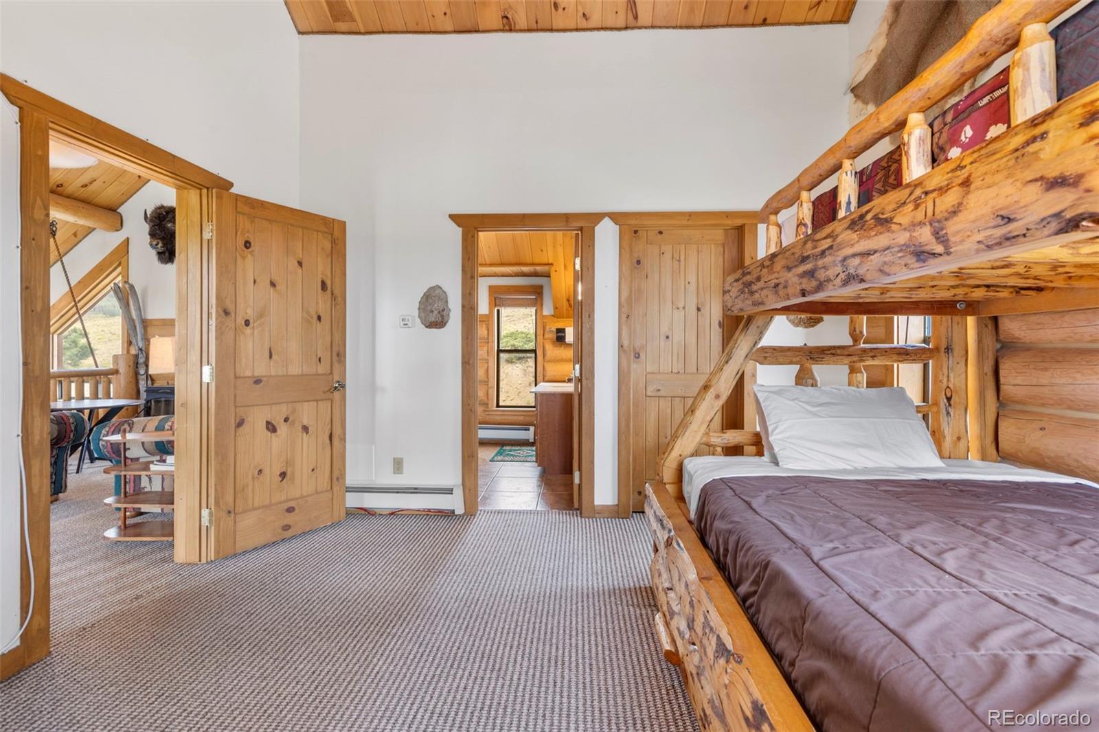 MLS Image #28 for 1586  sheep ridge ,fairplay, Colorado