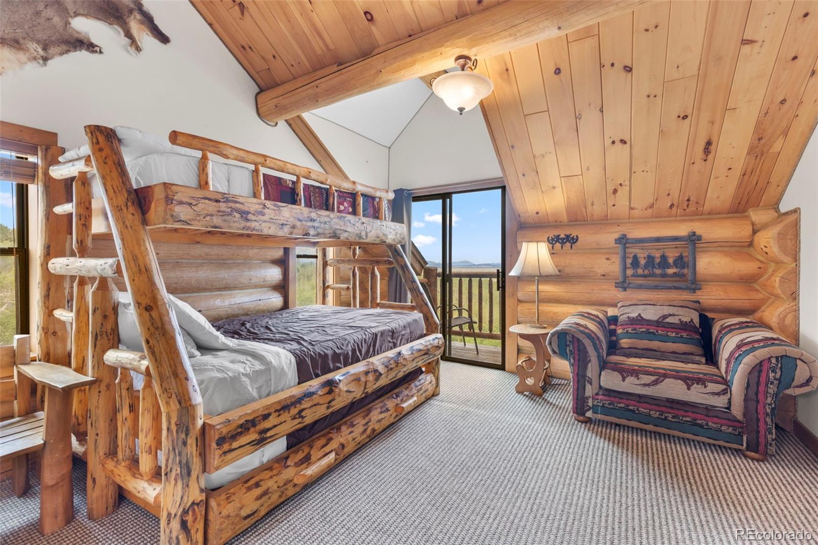 MLS Image #29 for 1586  sheep ridge ,fairplay, Colorado