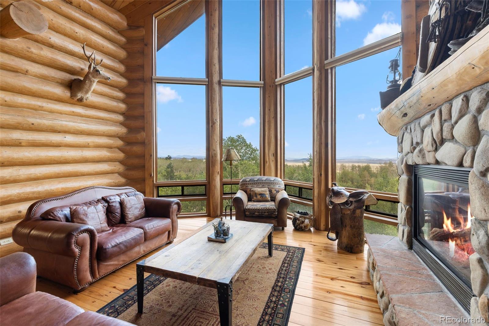 MLS Image #3 for 1586  sheep ridge ,fairplay, Colorado