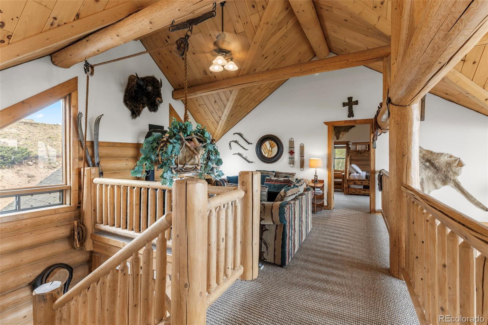 MLS Image #31 for 1586  sheep ridge ,fairplay, Colorado
