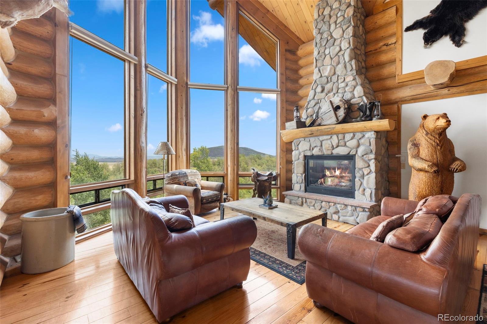 MLS Image #4 for 1586  sheep ridge ,fairplay, Colorado