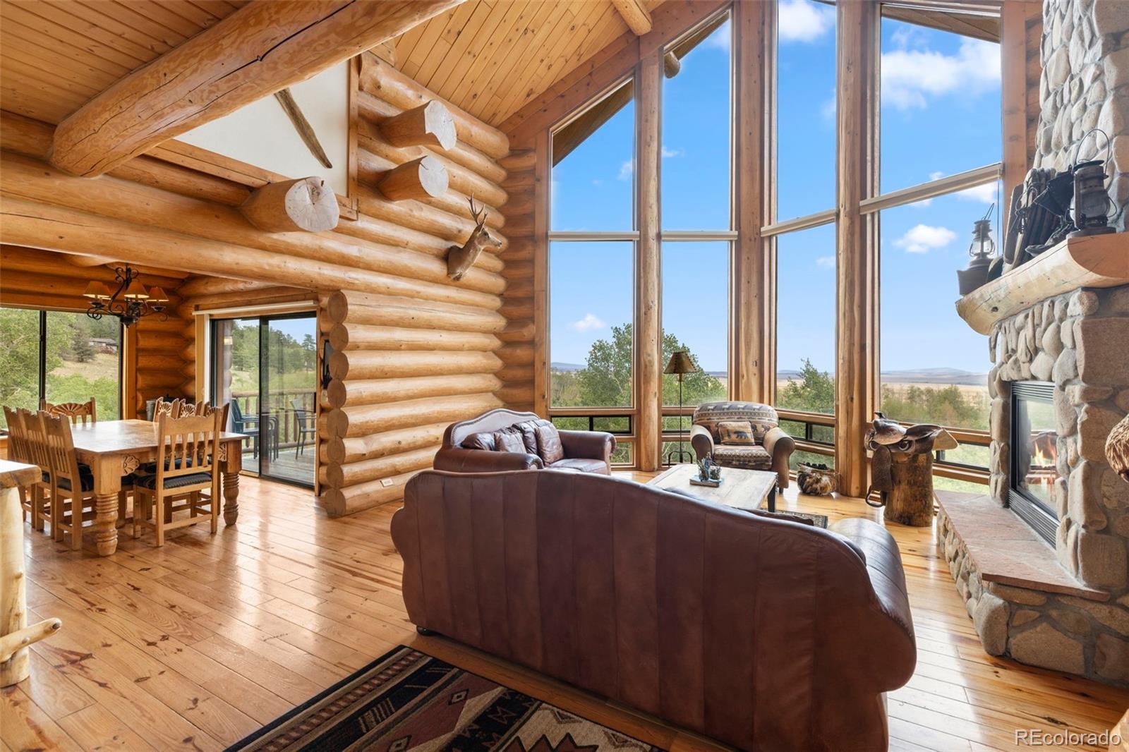 MLS Image #5 for 1586  sheep ridge ,fairplay, Colorado