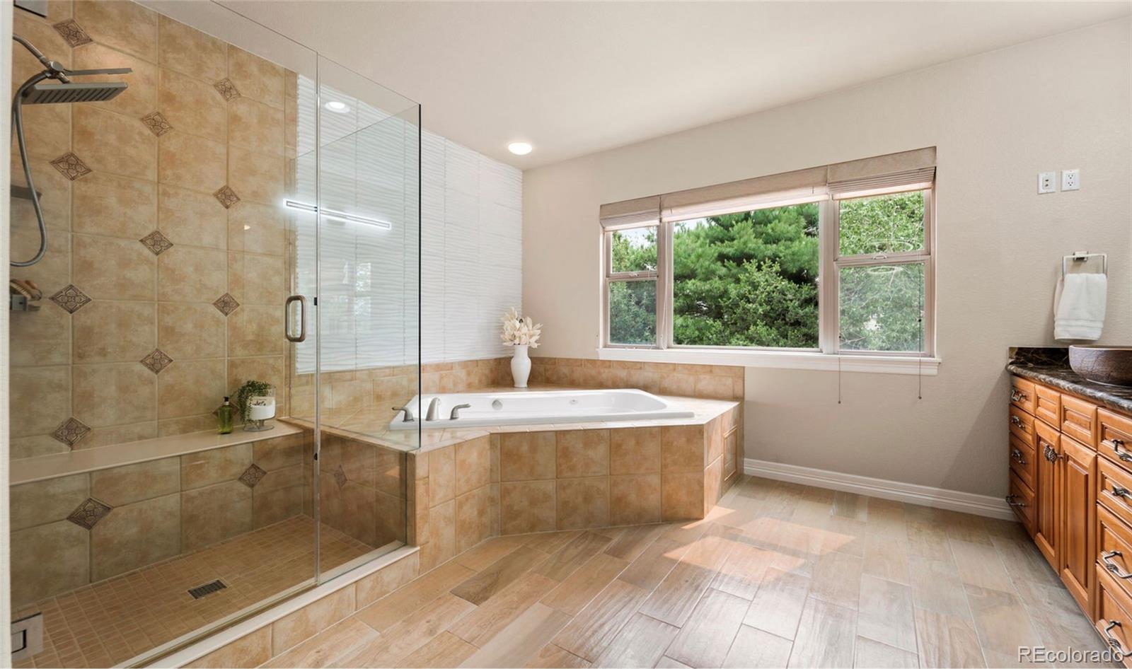 MLS Image #33 for 10488  bluffmont drive,lone tree, Colorado