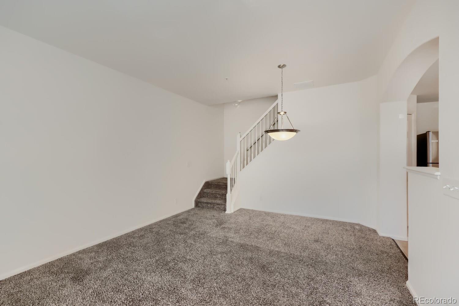 MLS Image #12 for 474  black feather loop,castle rock, Colorado