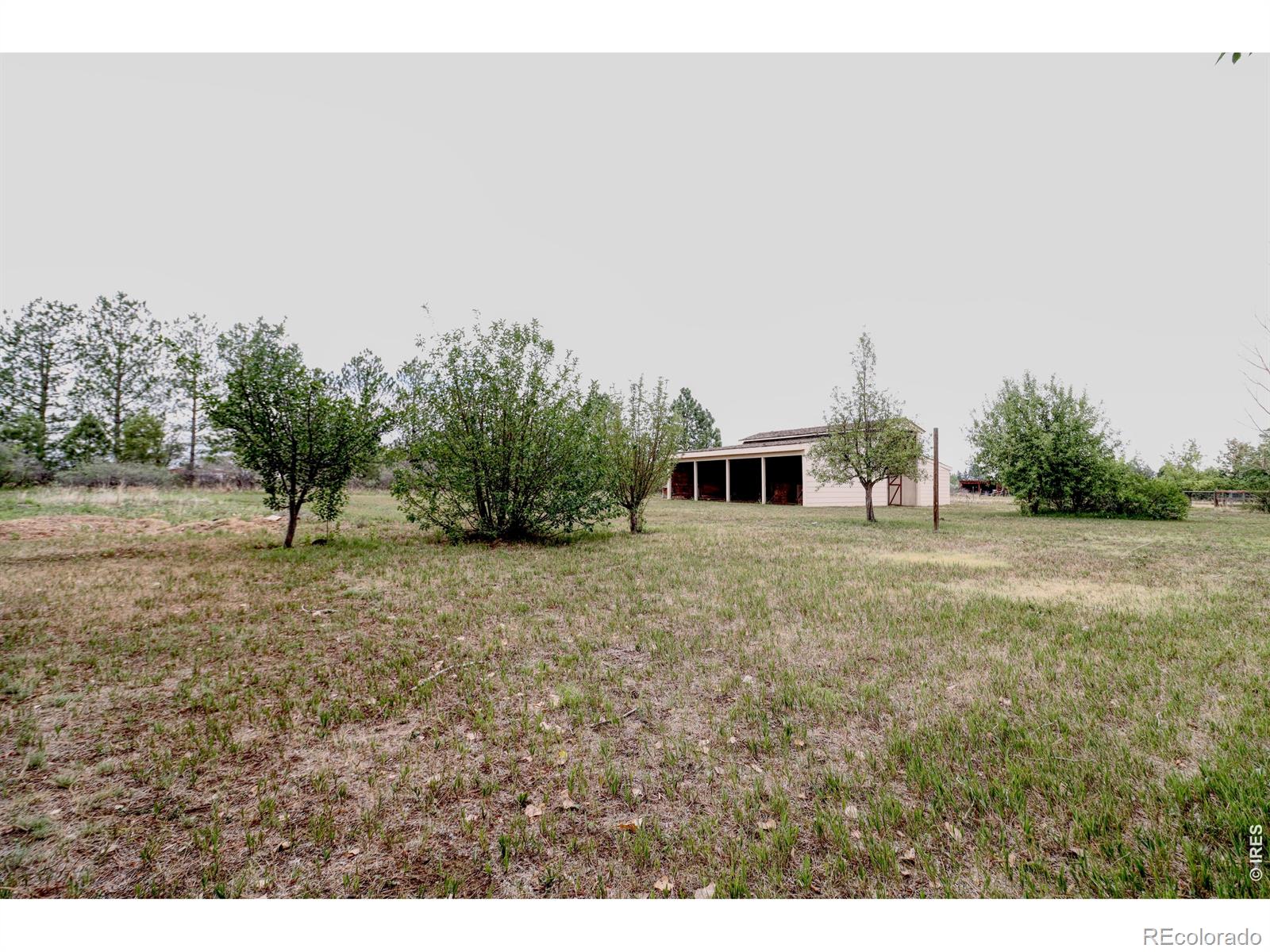MLS Image #4 for 2033  river glen drive,berthoud, Colorado