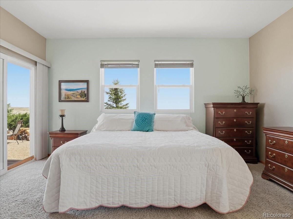 MLS Image #18 for 13424  alex place ,carr, Colorado