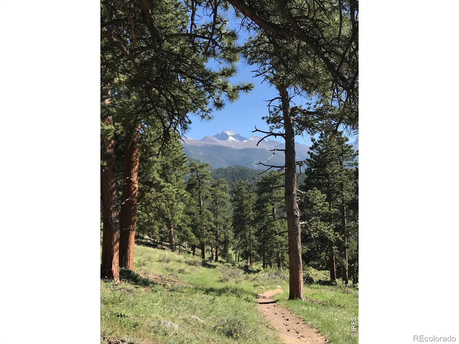 MLS Image #11 for 2340  eagle cliff road,estes park, Colorado