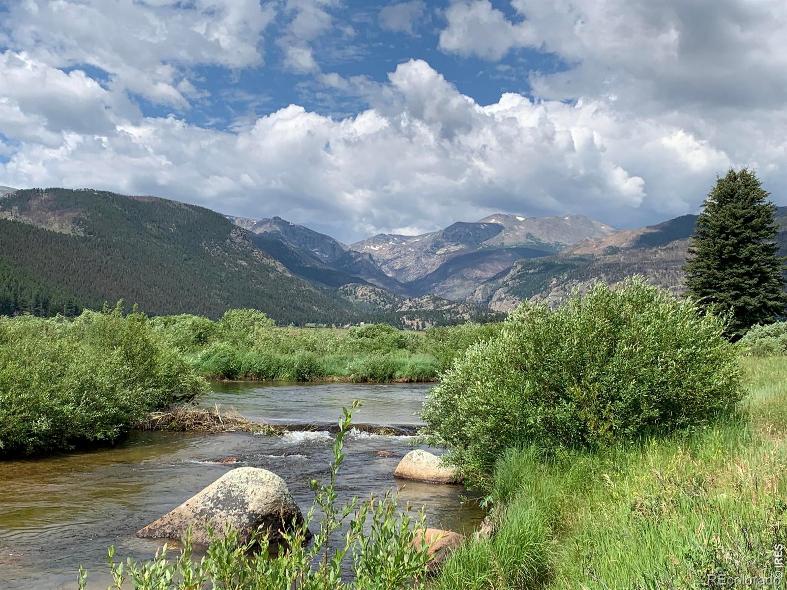 MLS Image #2 for 2340  eagle cliff road,estes park, Colorado