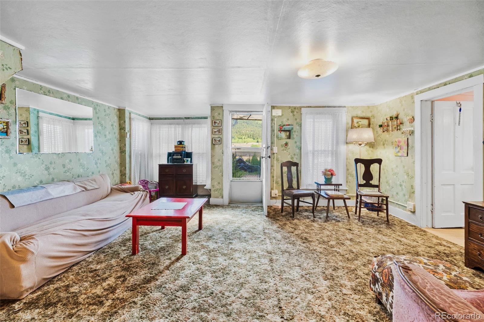 MLS Image #10 for 137 n pine street,alma, Colorado