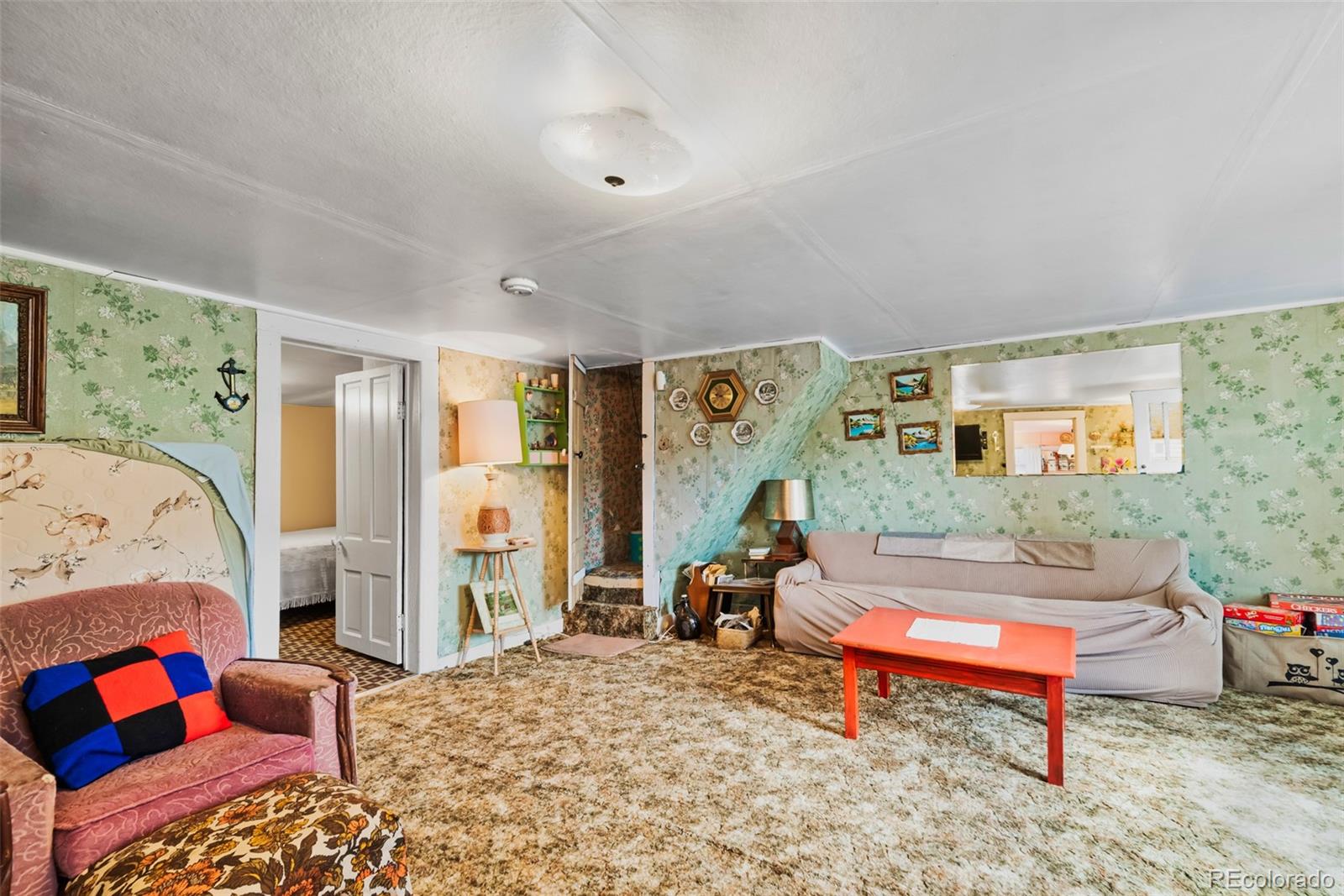 MLS Image #12 for 137 n pine street,alma, Colorado