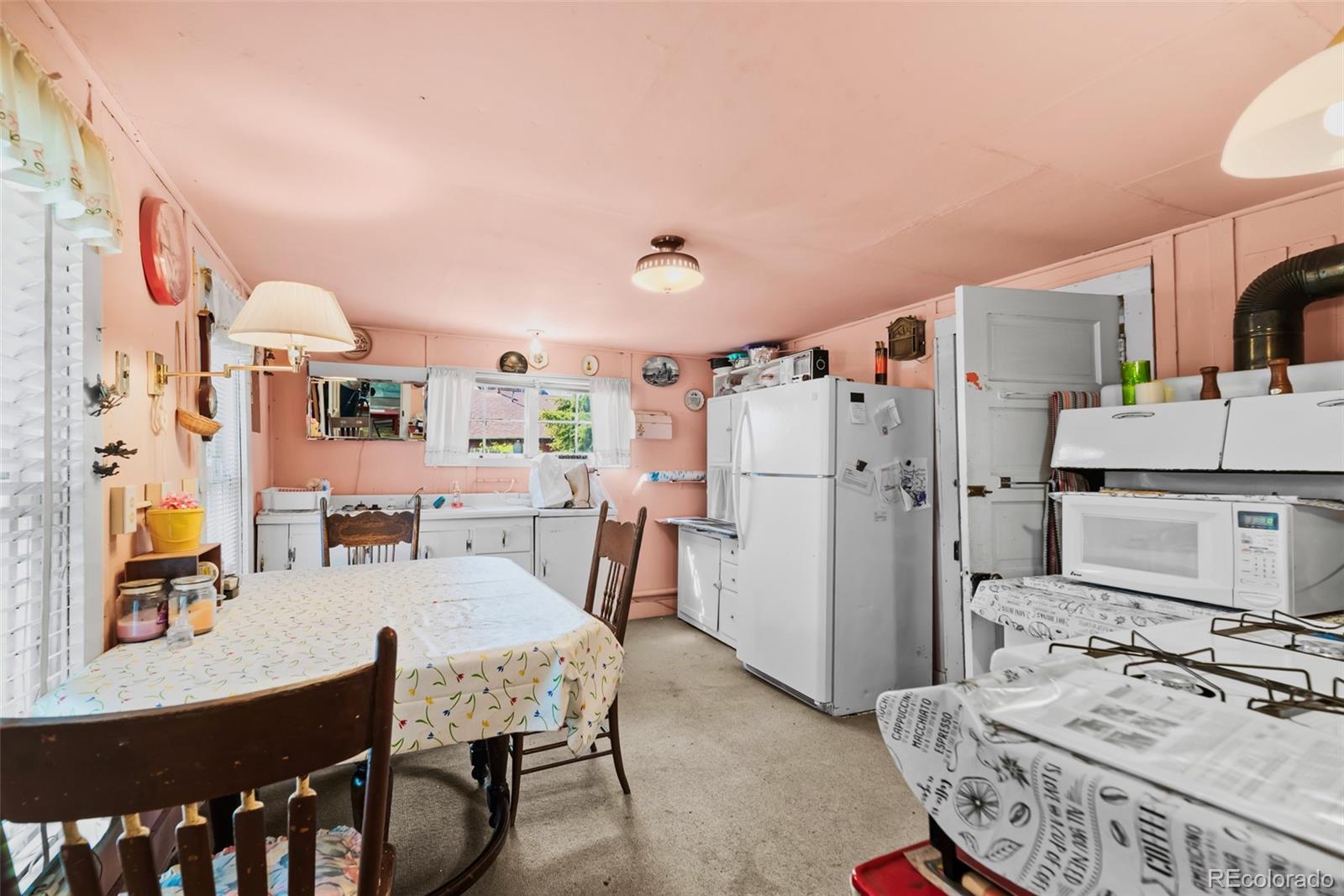 MLS Image #13 for 137 n pine street,alma, Colorado