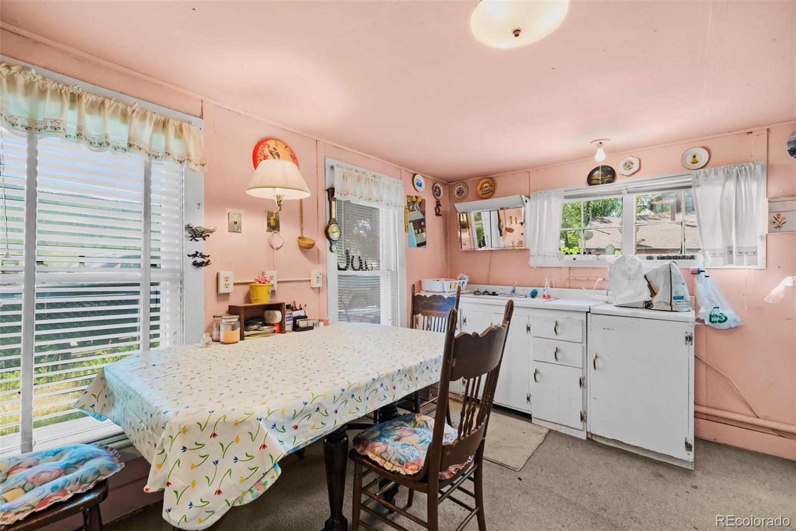 MLS Image #14 for 137 n pine street,alma, Colorado