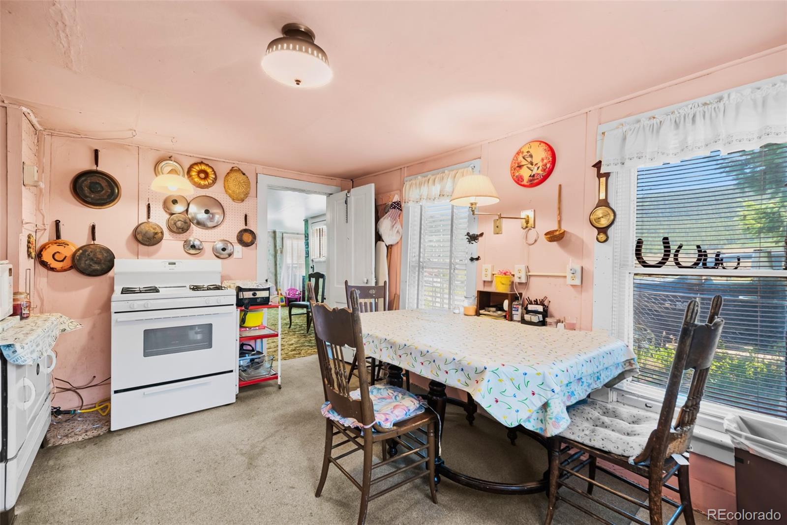 MLS Image #16 for 137 n pine street,alma, Colorado