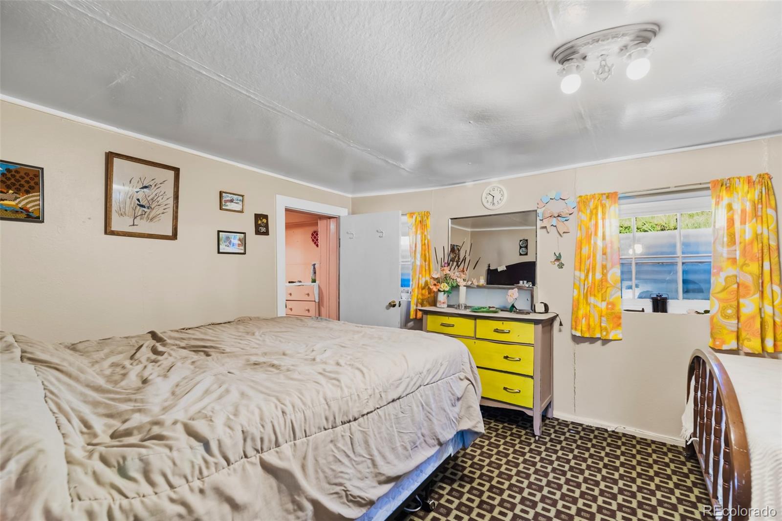 MLS Image #17 for 137 n pine street,alma, Colorado