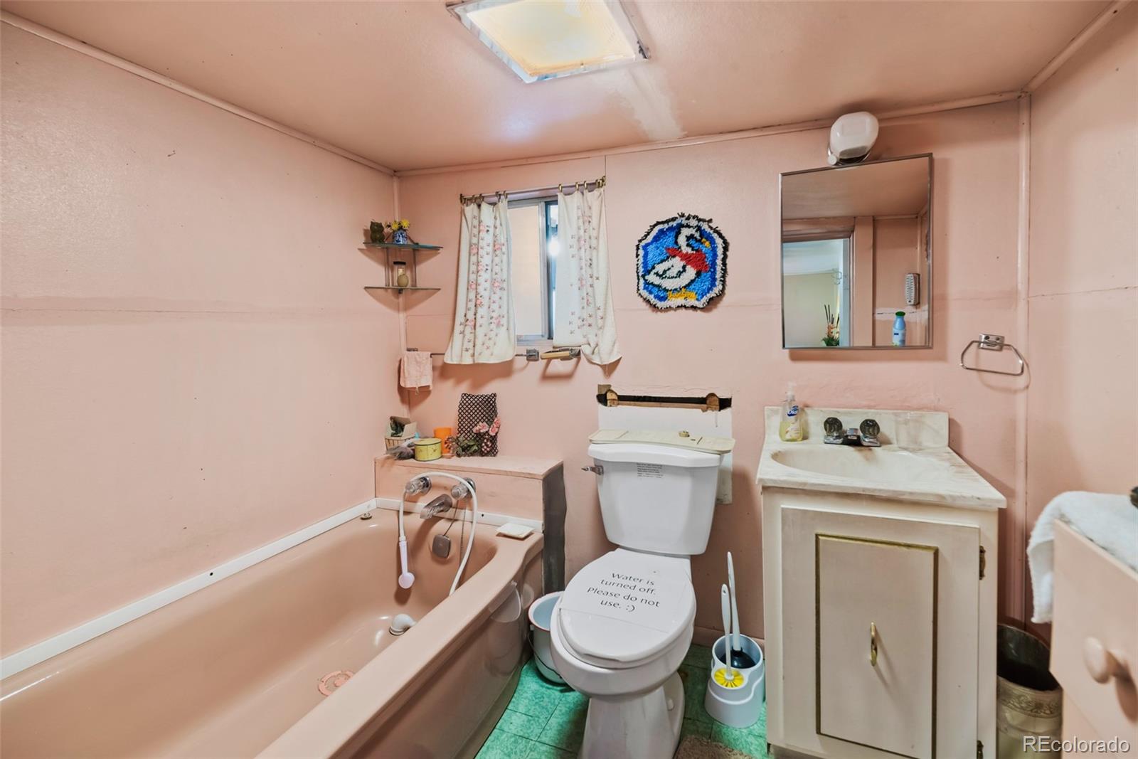 MLS Image #18 for 137 n pine street,alma, Colorado