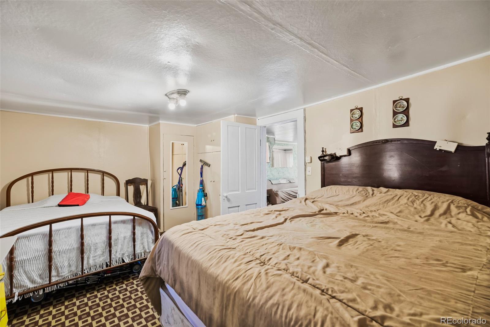 MLS Image #19 for 137 n pine street,alma, Colorado
