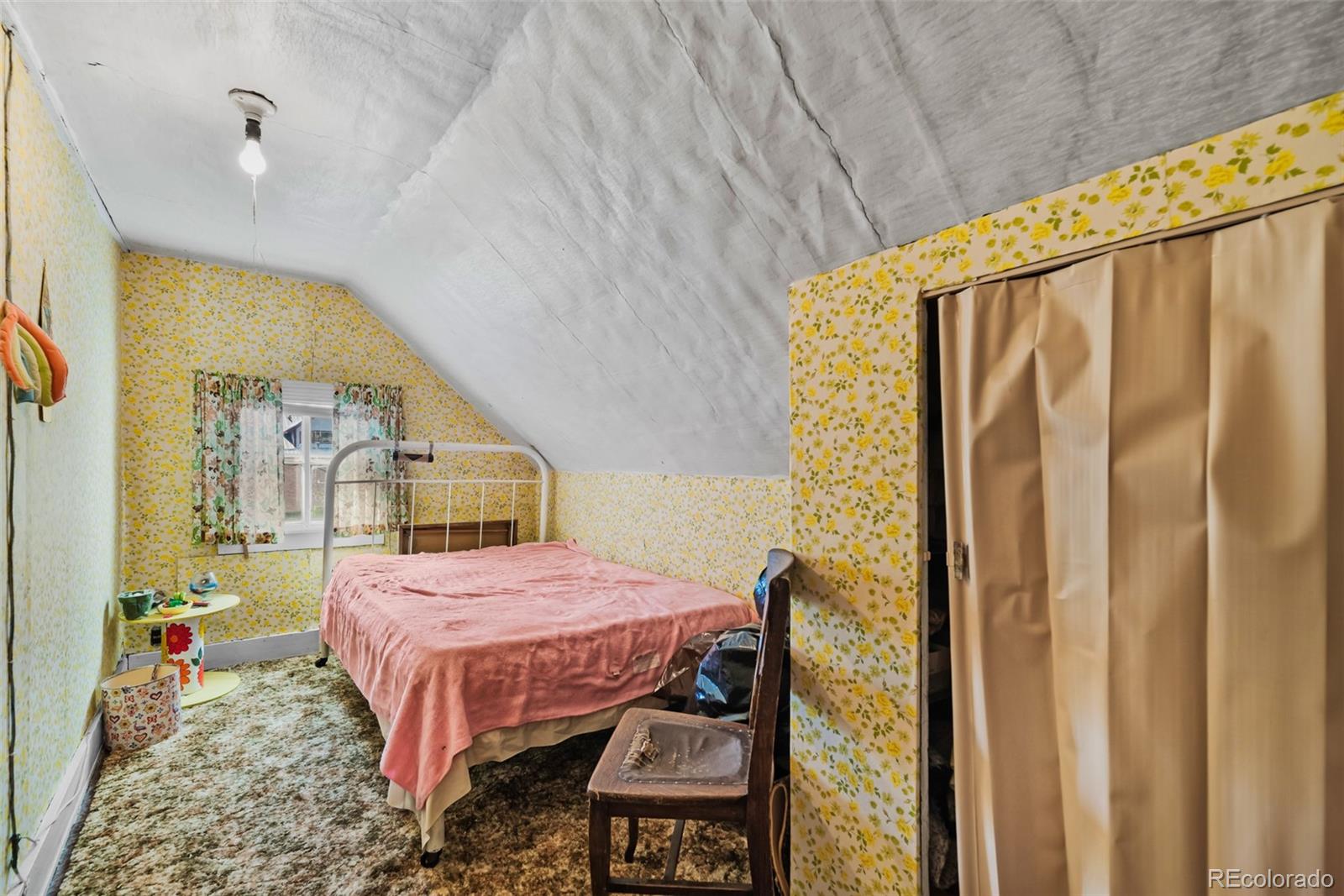 MLS Image #22 for 137 n pine street,alma, Colorado