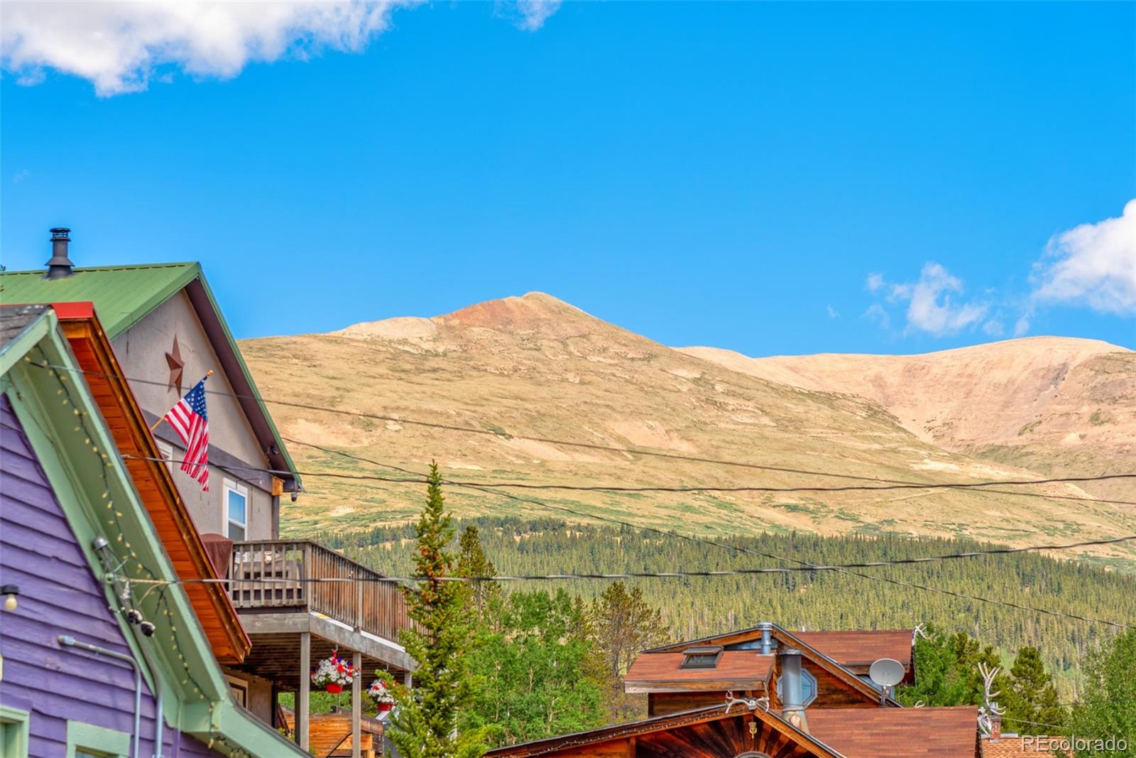 MLS Image #7 for 137 n pine street,alma, Colorado