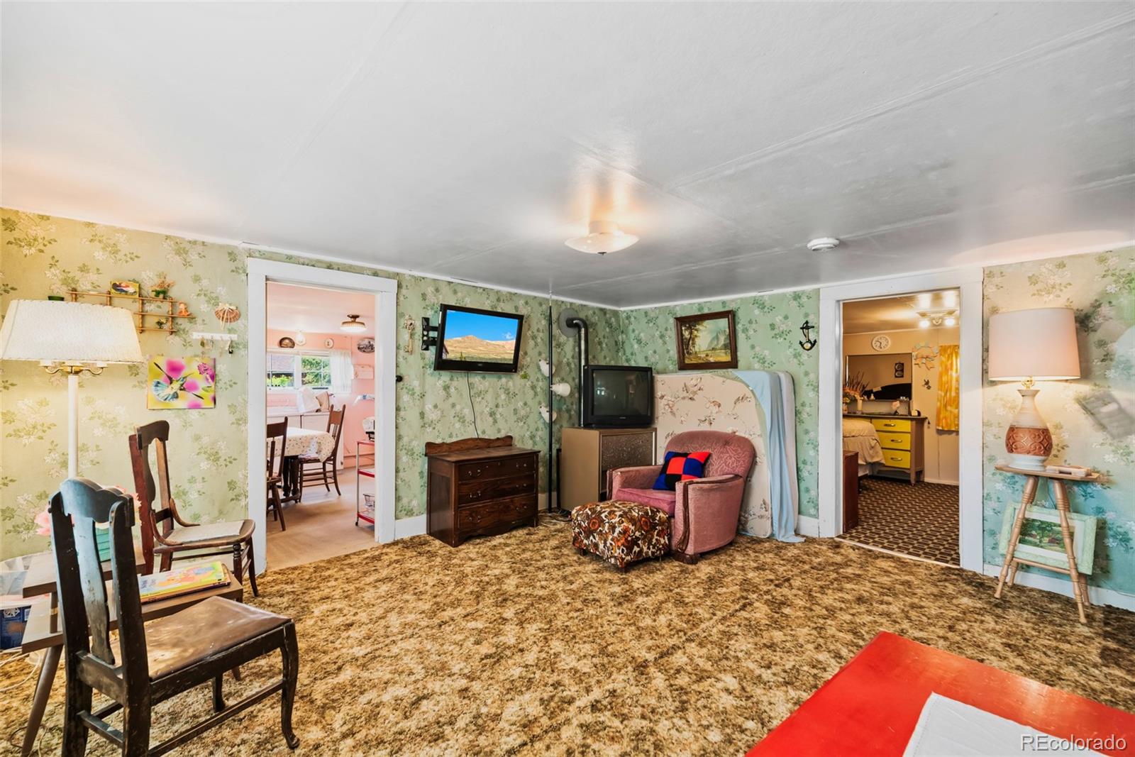 MLS Image #8 for 137 n pine street,alma, Colorado