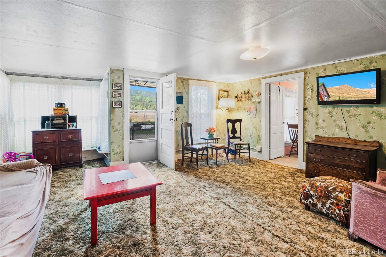 MLS Image #9 for 137 n pine street,alma, Colorado