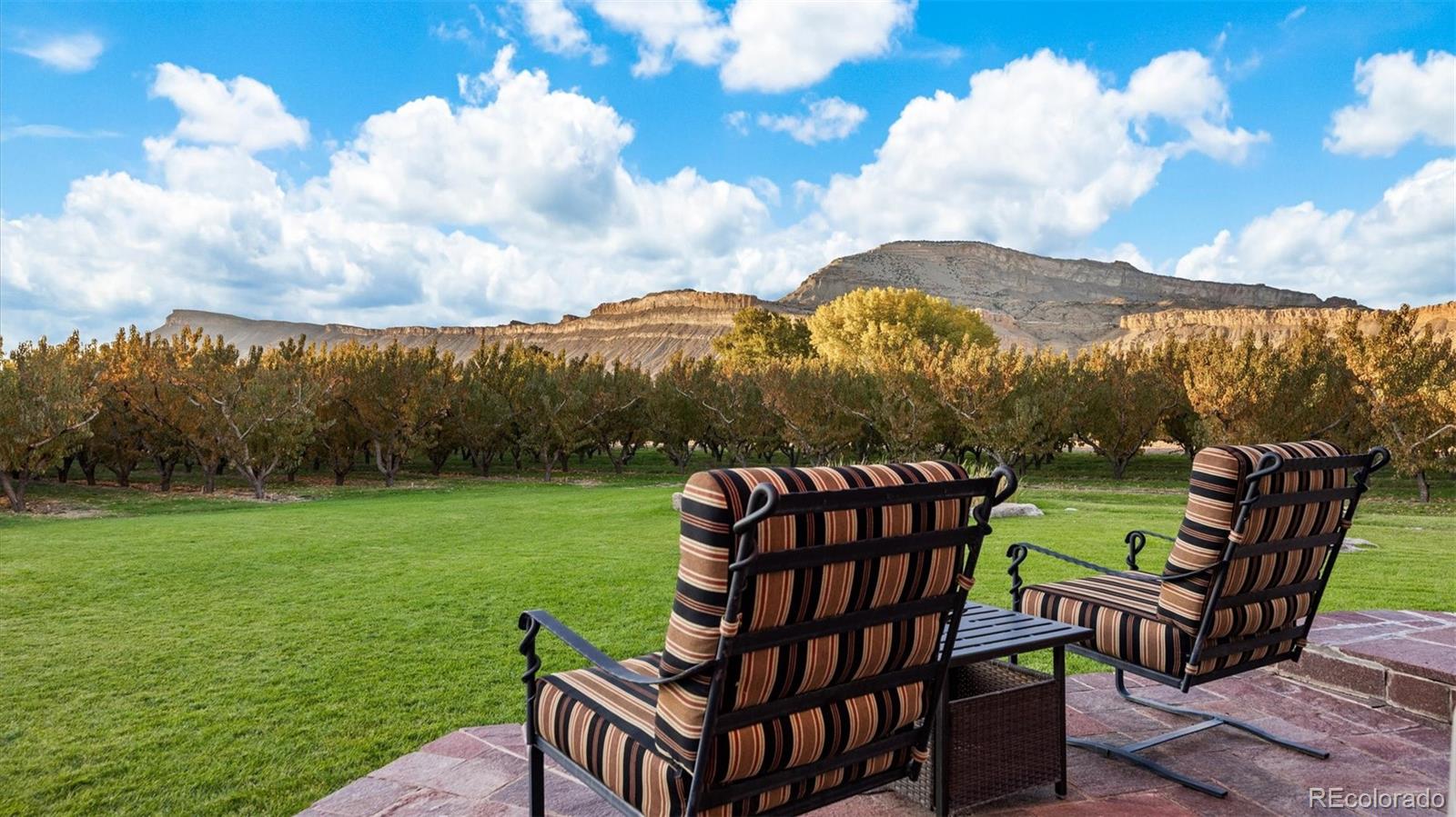 MLS Image #43 for 3875  f 3/4 road,palisade, Colorado