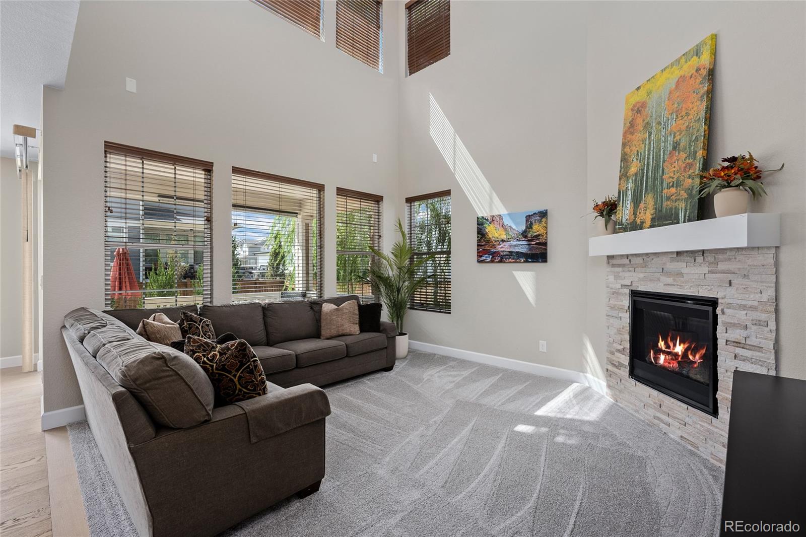 MLS Image #4 for 12263  pontiac street,thornton, Colorado