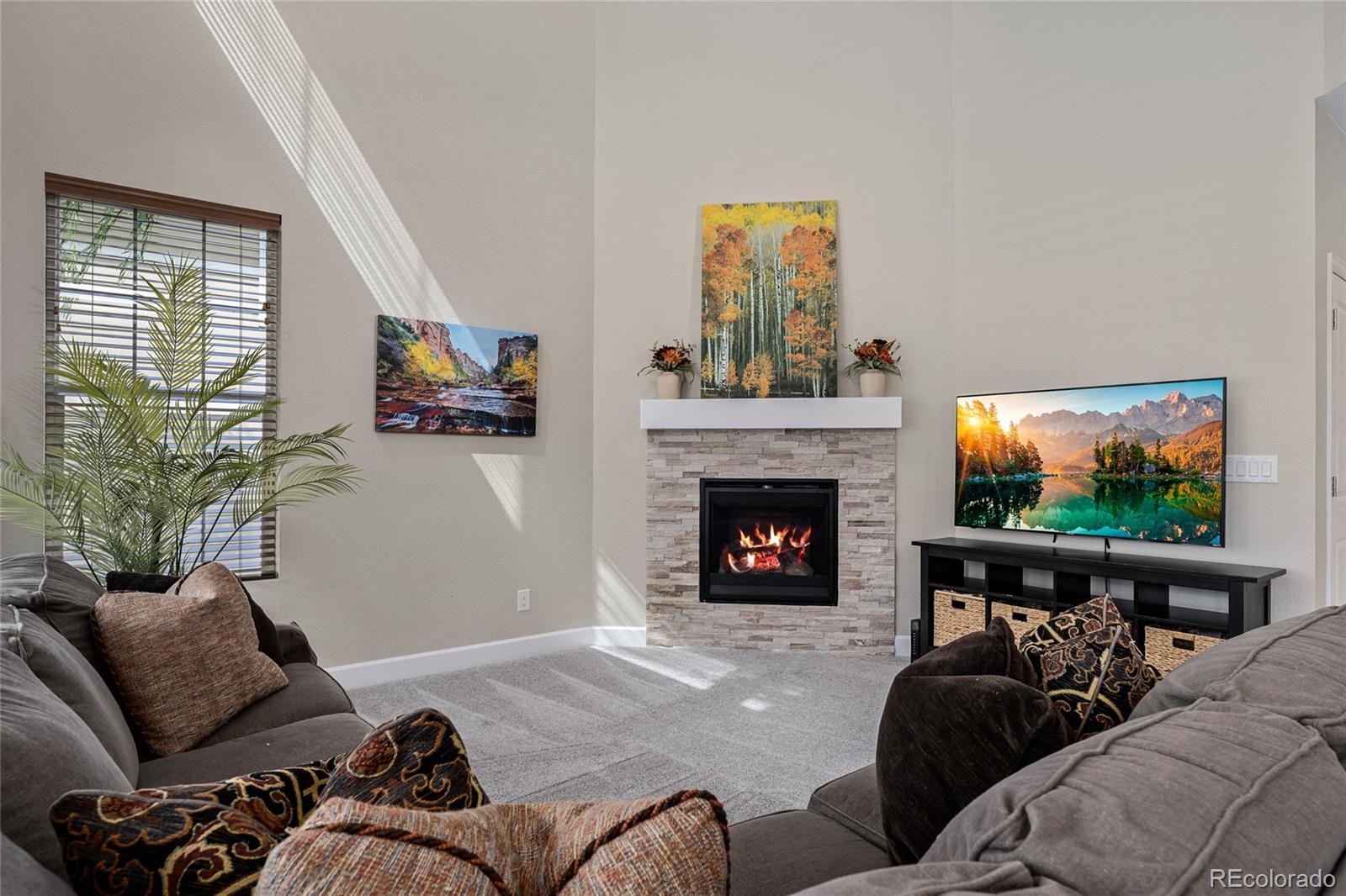 MLS Image #6 for 12263  pontiac street,thornton, Colorado