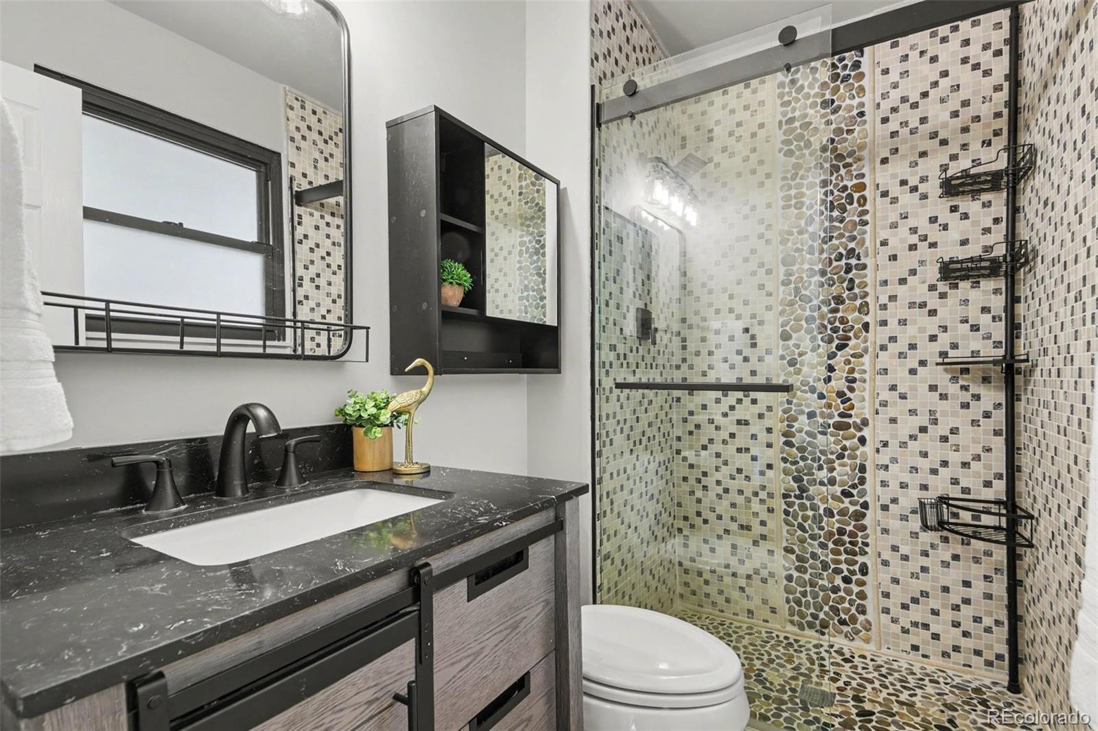 MLS Image #12 for 9055  estes street,broomfield, Colorado