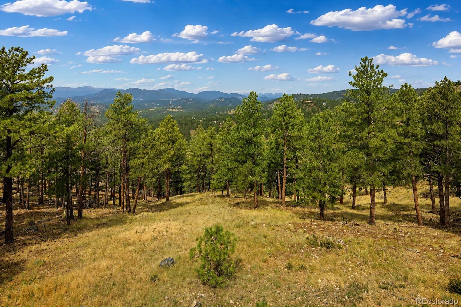 MLS Image #29 for 1893  montane drive,golden, Colorado