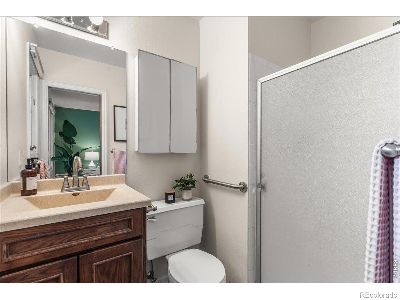 MLS Image #26 for 2718  balmoral court,fort collins, Colorado
