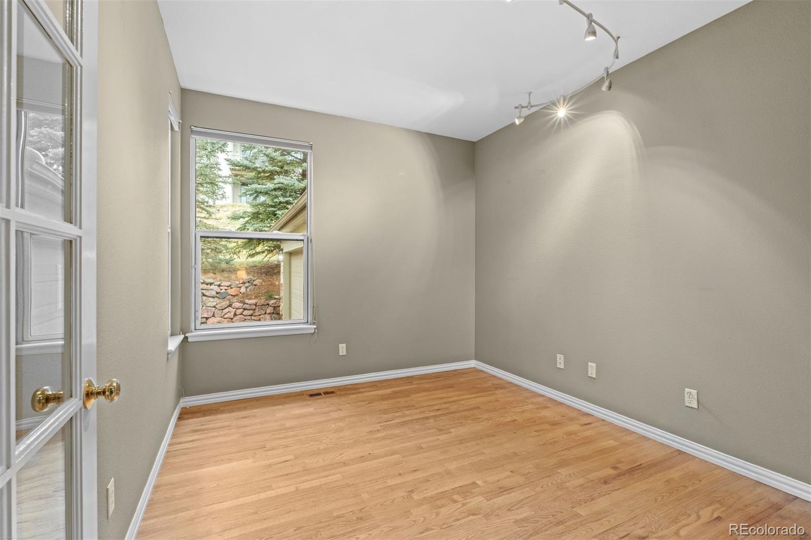 MLS Image #12 for 3396  white bark pine,evergreen, Colorado