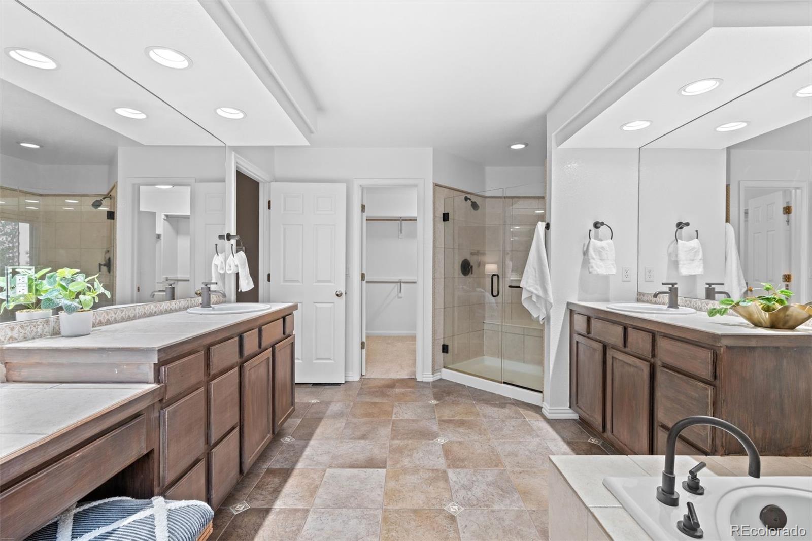 MLS Image #16 for 3396  white bark pine,evergreen, Colorado
