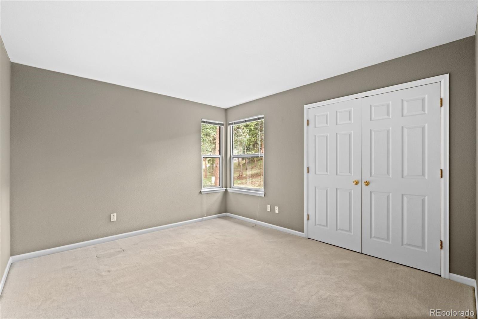 MLS Image #18 for 3396  white bark pine,evergreen, Colorado