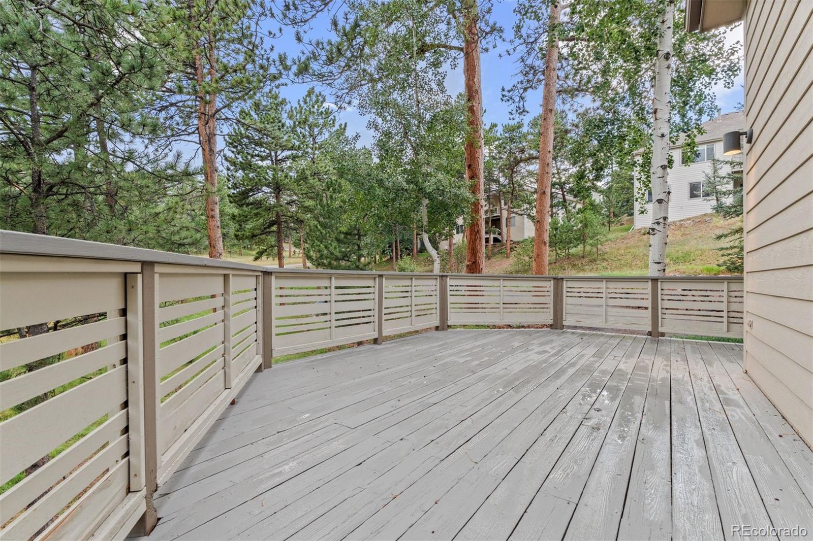 MLS Image #23 for 3396  white bark pine,evergreen, Colorado