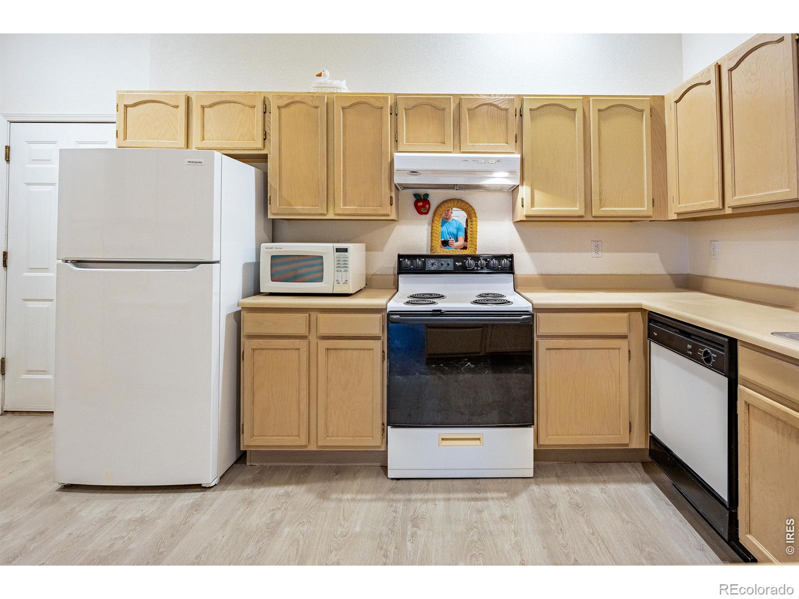 MLS Image #9 for 4500  seneca street,fort collins, Colorado