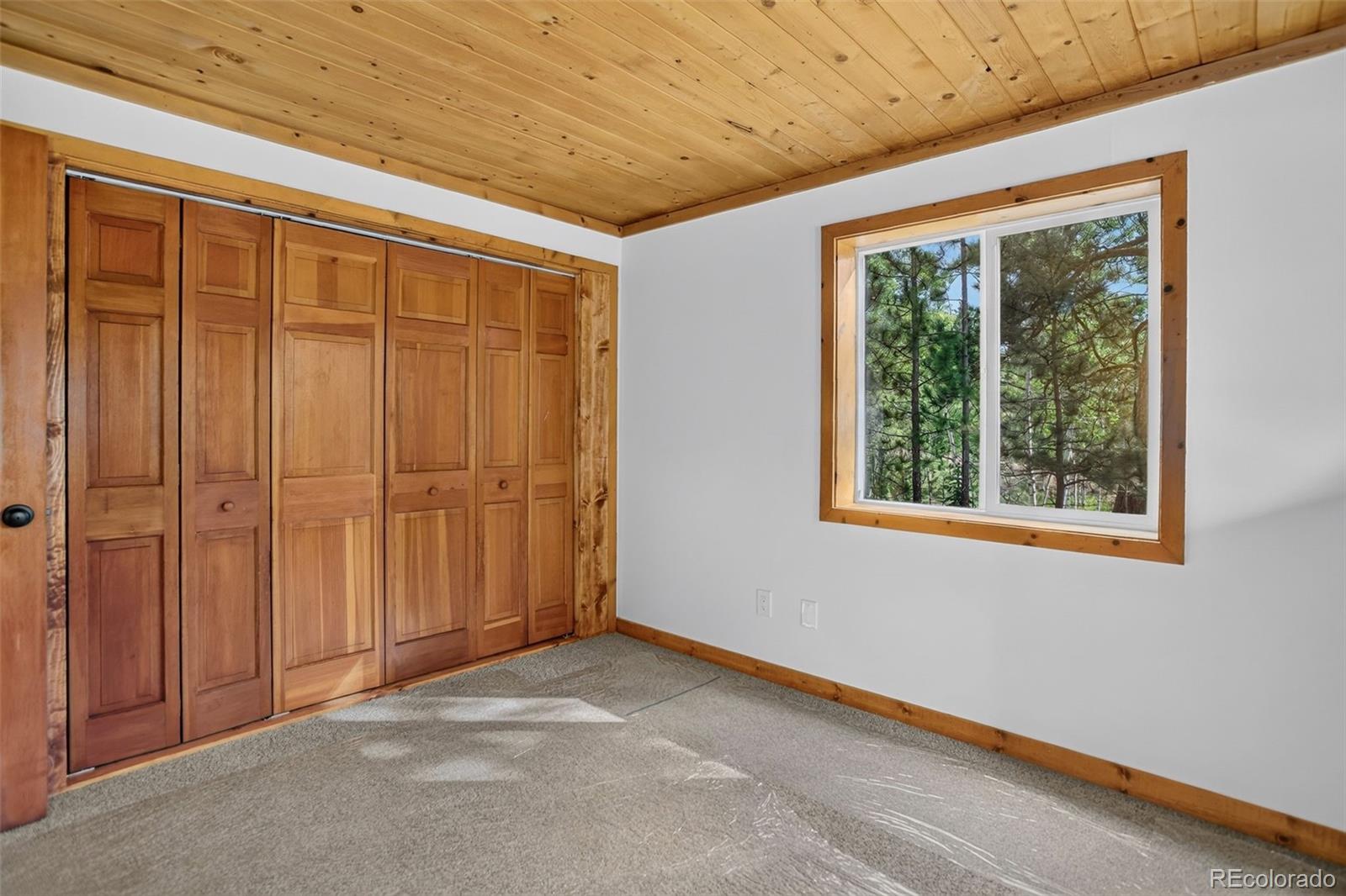 MLS Image #10 for 65  shadow lake drive,divide, Colorado
