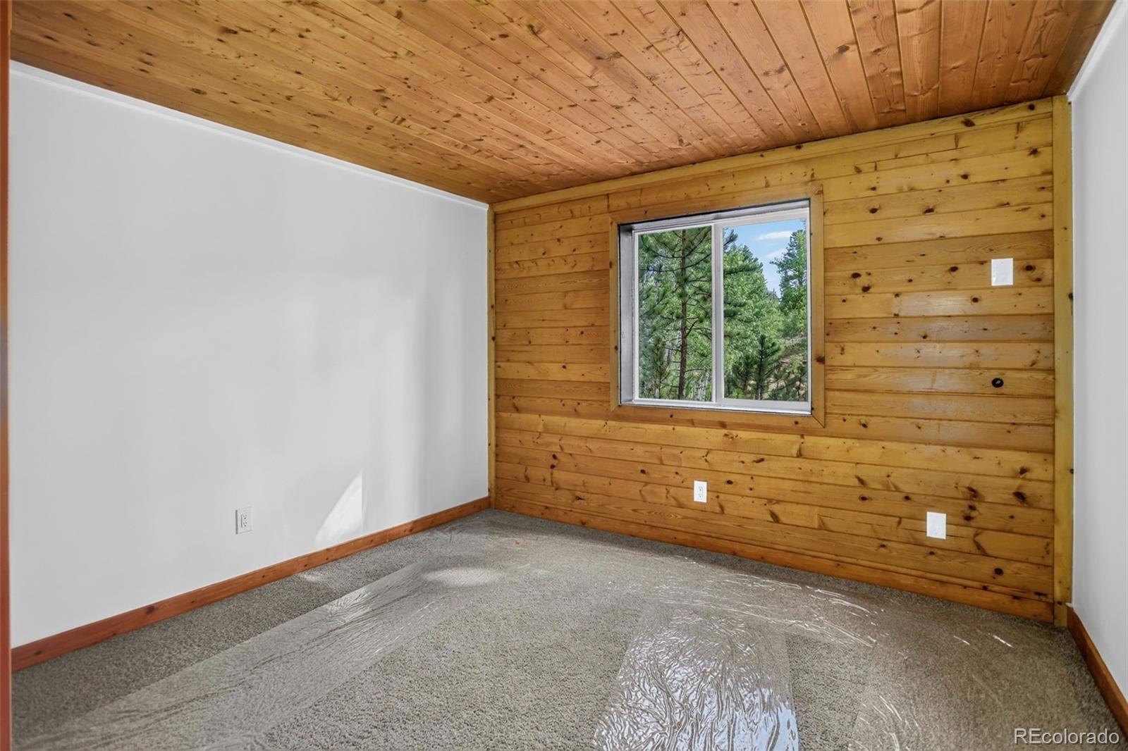 MLS Image #12 for 65  shadow lake drive,divide, Colorado