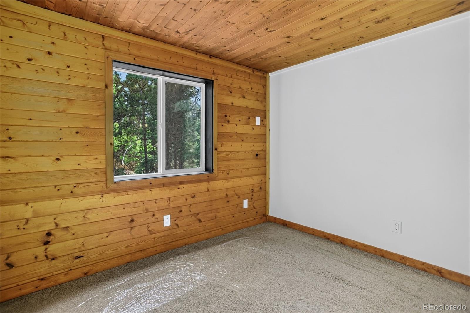 MLS Image #15 for 65  shadow lake drive,divide, Colorado