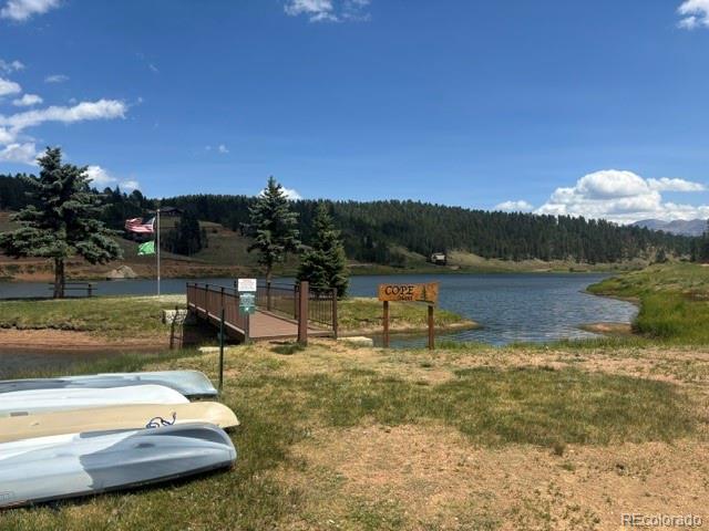 MLS Image #18 for 65  shadow lake drive,divide, Colorado