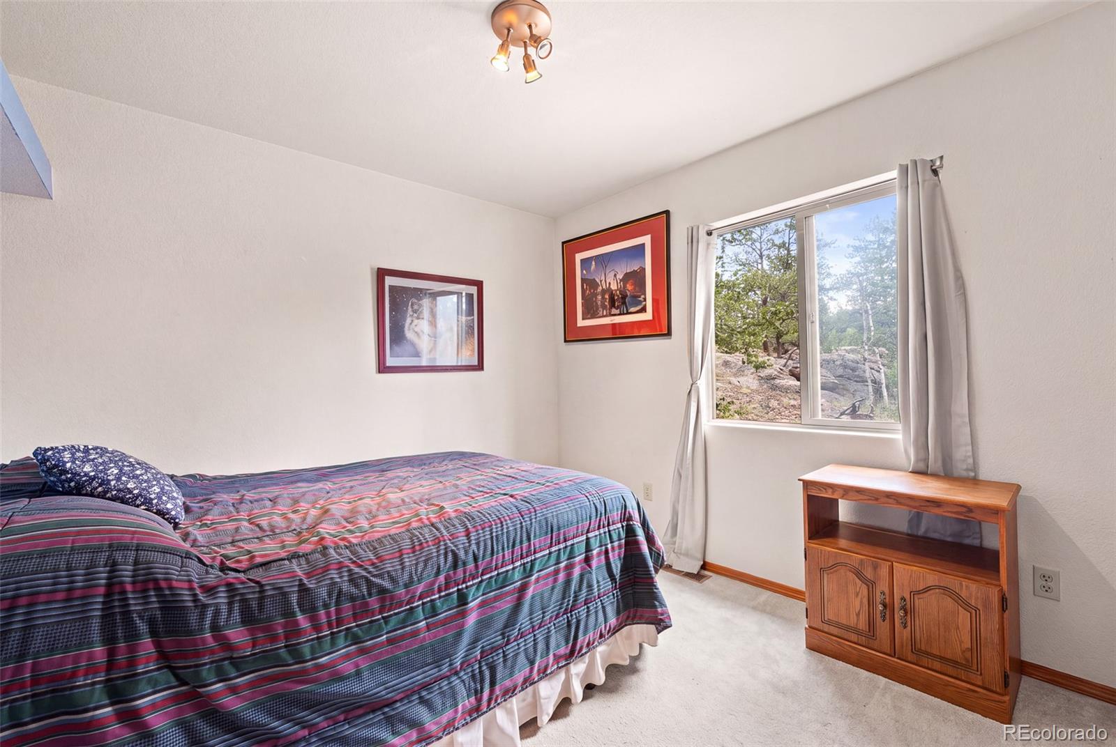 MLS Image #10 for 3943  co rd 403 ,lake george, Colorado