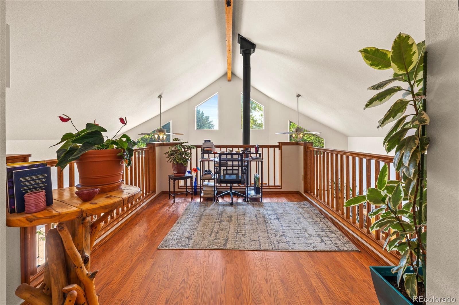 MLS Image #11 for 3943  co rd 403 ,lake george, Colorado