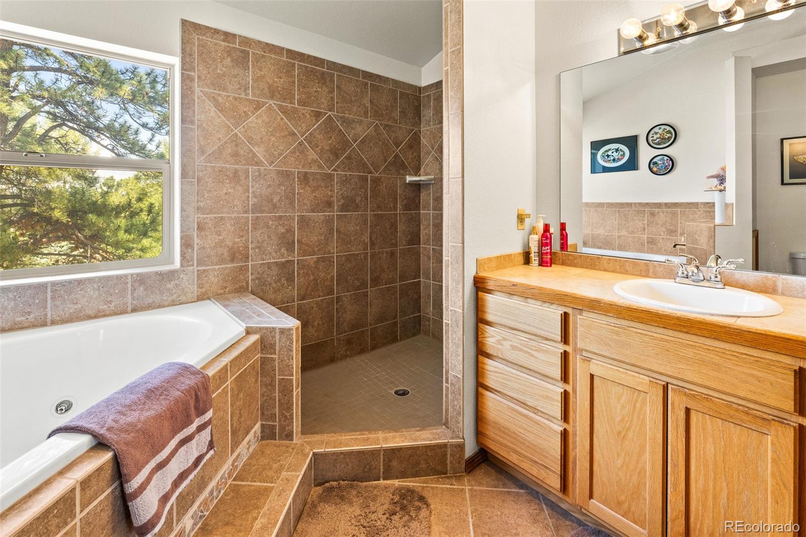 MLS Image #14 for 3943  co rd 403 ,lake george, Colorado