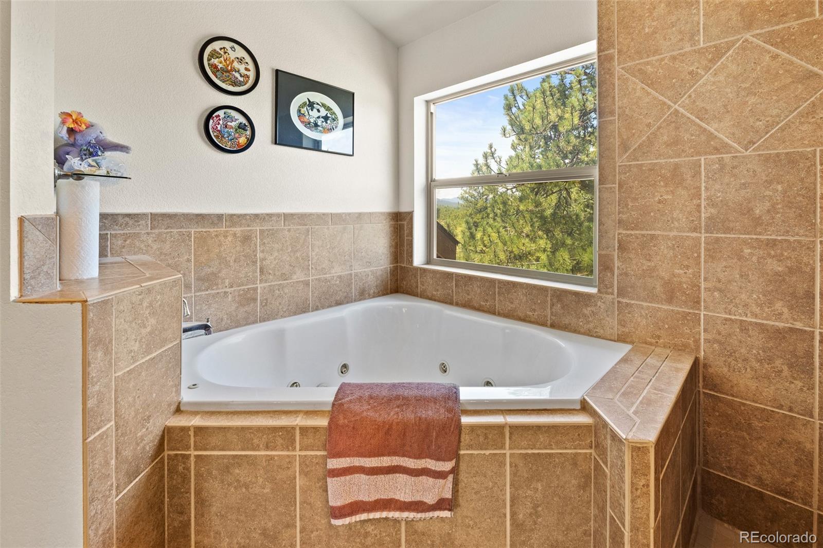 MLS Image #15 for 3943  co rd 403 ,lake george, Colorado