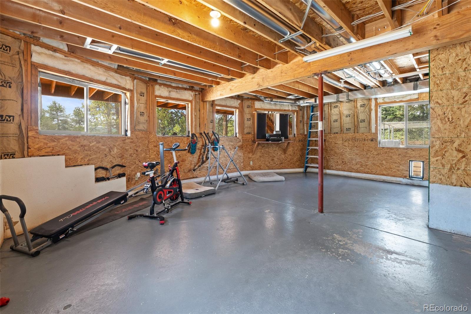 MLS Image #16 for 3943  co rd 403 ,lake george, Colorado